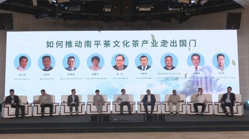 南平市茶文化茶产业国际交流合作研讨会舞台艺术造型策划方案